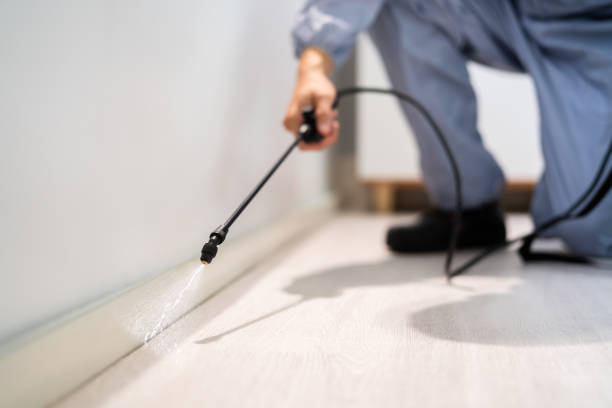 Licensed Pest Control service in Oakley, UT - Show Me Pest Control