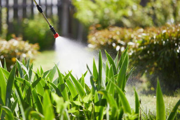 Tamper-Resistant Bait Stations for Rodents in Oakley