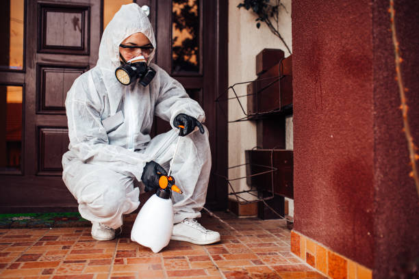 Attic and Crawl Space Rodent Treatment in Oakley
